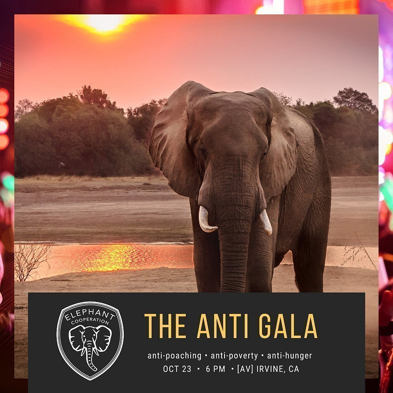 Elephant Cooperation’s SoCal Sunset Safari and Anti Gala Fundraiser